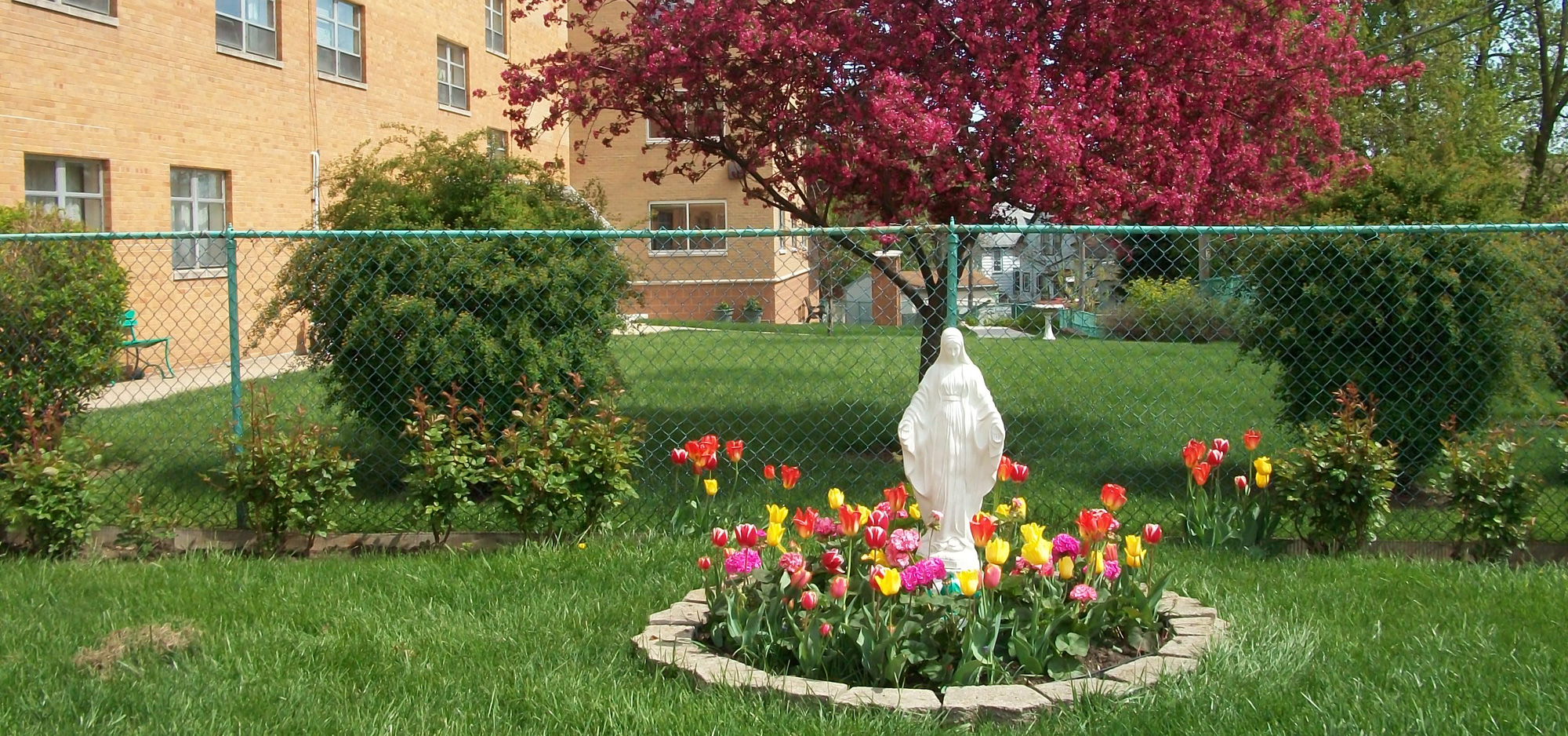 Lawn with garden